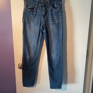 Judy Blue Skinny Blue Jeans with Lived-In Look